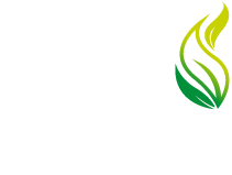 ITALIA LEGNO ENERGIA