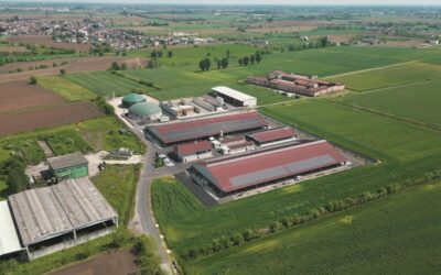 Cascina Fabbrica, azienda agricola efficiente e virtuosa