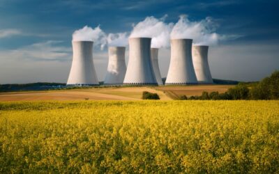 Situazione presente e prospettive future del nuovo nucleare